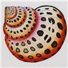 Image 2 : SEA SHELLS HAND COLORED ETCHING HUGE SALE