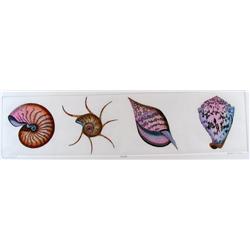 SEA SHELLS HAND COLORED ETCHING HUGE SALE