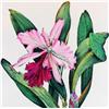 Image 2 : PINK FLOWER HAND COLORED ETCHING 25X18 HUGE SALE