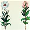 Image 2 : COLORFUL ETCHING FLORAL HAND COLORED LTD ED