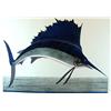 Image 1 : HUGE SAIL FISH HAND COLORED LTD EDITION ETCHING