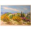 Image 1 : COLORFUL LANDSCAPE SIGNED LIMITED EDITION LITHOGRAPH ON PAPER