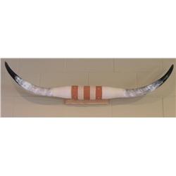 Long Horn Steer horns