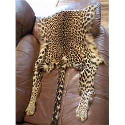 Leopard Skin (bottom half)