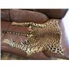 Image 2 : Leopard Skin (bottom half)
