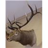Image 3 : Elk 6X6 Mount
