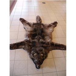 Timber Wolf rug with rings