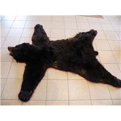 Black Bear rug
