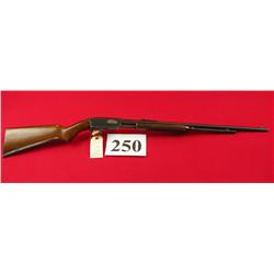 Winchester 61 22 S,L,LR