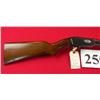 Image 2 : Winchester 61 22 S,L,LR