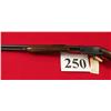 Image 7 : Winchester 61 22 S,L,LR