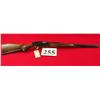 Image 1 : Marlin 49 DL 22 LR Only