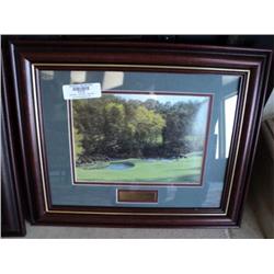 PRINT OF 11TH HOLE AT AUGUSTA {print sequence:} 376