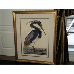 PRINT OF LOUISIANA HERON, A. DAN MITRA, 467/750 {print sequence:} 80