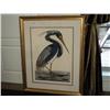 Image 1 : PRINT OF LOUISIANA HERON, A. DAN MITRA, 467/750 {print sequence:} 80