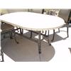 Image 1 : PATIO TABLE, OBLONG {print sequence:} 244