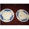 Image 1 : PLATES, FLOW BLUE, SEMI-PORCELAIN, ENGLAND, DAISY {print sequence:} 135