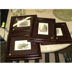 PHEASANT PRINTS ***4 TIMES THE MONEY***