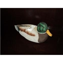 MALLARD "DUCK" BY RANDY TULL