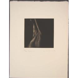 NU C Sleek Sensual Nude Mikio Watanabe Art Mezzotint