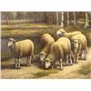Image 2 : Bachmann Original Oil Painting Sheep Landscape