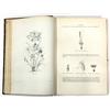 Image 4 : Books, Encyclopedie d'Histoire Naturelle