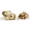 Image 6 : Ivory Figural Netsuke Carvings