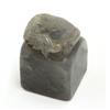Image 4 : Chinese Soapstone Seal, Bat/Cash