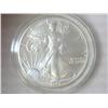 Image 1 : 1991 AMERICAN SILVER EAGLE (UNC)