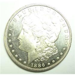 1886 Morgan $   MS63 heavy PL might be DMPL