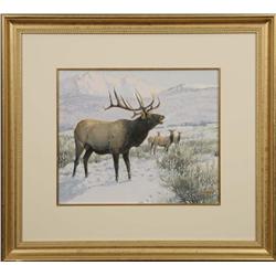 Joe Ferrara, Gouache