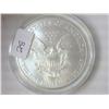 Image 2 : 1995 AMERICAN SILVER EAGLE (UNC)