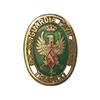 Image 1 : Guardia Civil de Tráfico. -  S/F. -  Anv.: Escudo de la Guardia Civil. Metal dorado y esmaltes. Ø 40
