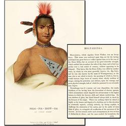 McKenney & Hall ''Ioway Chief''