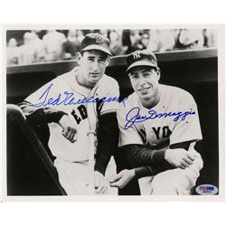 Joe DiMaggio & Ted Williams SP