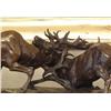 Image 2 : Impressive Bronze Sculpture Fighting Elk