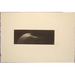 CHEVELLURE Nude Mikio Watanabe Art Print Mezzotint Art