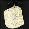 60ctw Alligator Fossil Pendant Necklace (JEW-3039)