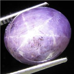 14.05ct Natural Star Ruby Well Patterned  (GEM-32132)