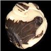 Image 2 : Chinese Handcarved Tagua Ivory Nut (CLB-737)