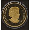 Image 2 : 2009 $300 Gold Coin