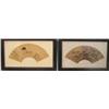 Image 1 : 2 framed fan paintings