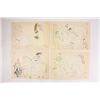 Image 1 : 4 unframed colored prints by Picasso
