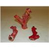 Image 2 : Coral in tree shape