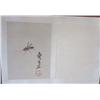 Image 2 : Print album of "Insects"