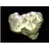 Image 2 : 2.9 GRAM ALASKA GOLD NUGGET (SUPER COOL)