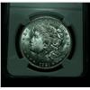 Image 1 : NGC 1921-d Morgan Dollar Graded Choice Uncirculated ms64  NGC