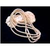 Image 3 : Pearl Necklace