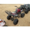 Image 3 : ZGI 123.7CC ATV