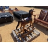 Image 2 : TEAKWOOD ROCKING HORSE